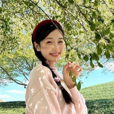 派特森与芬达猫4